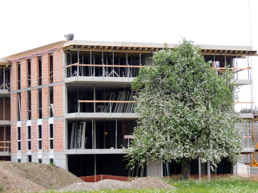 DSCN7200_JPG-1371073539