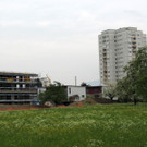 DSCN7201_JPG-1371073543