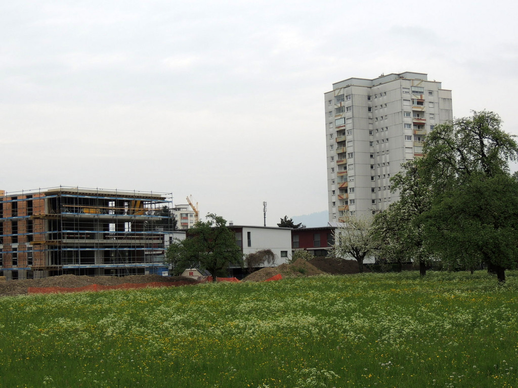 DSCN7201_JPG-1371073543