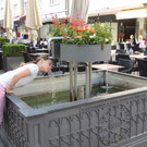 DSCN6154_JPG-1371074847