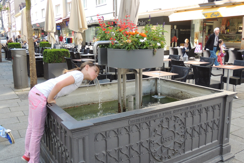 DSCN6154_JPG-1371074847