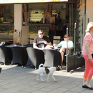 DSCN6164_JPG-1371074894