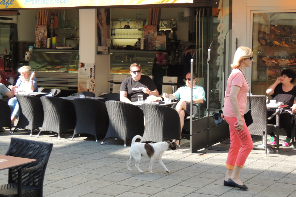 DSCN6164_JPG-1371074894