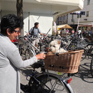 DSCN6304_JPG-1371074980