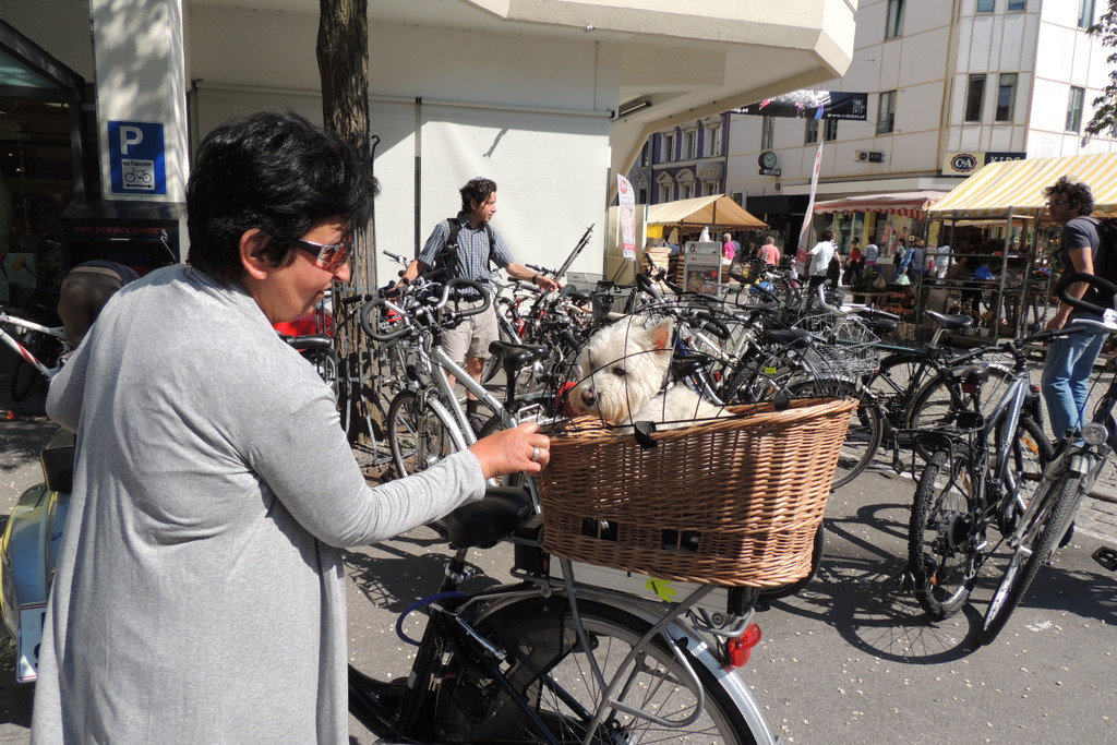 DSCN6304_JPG-1371074980