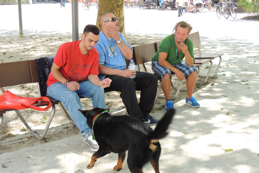 DSCN6594_JPG-1371075148