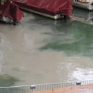 DSCN7174_JPG-1371079989