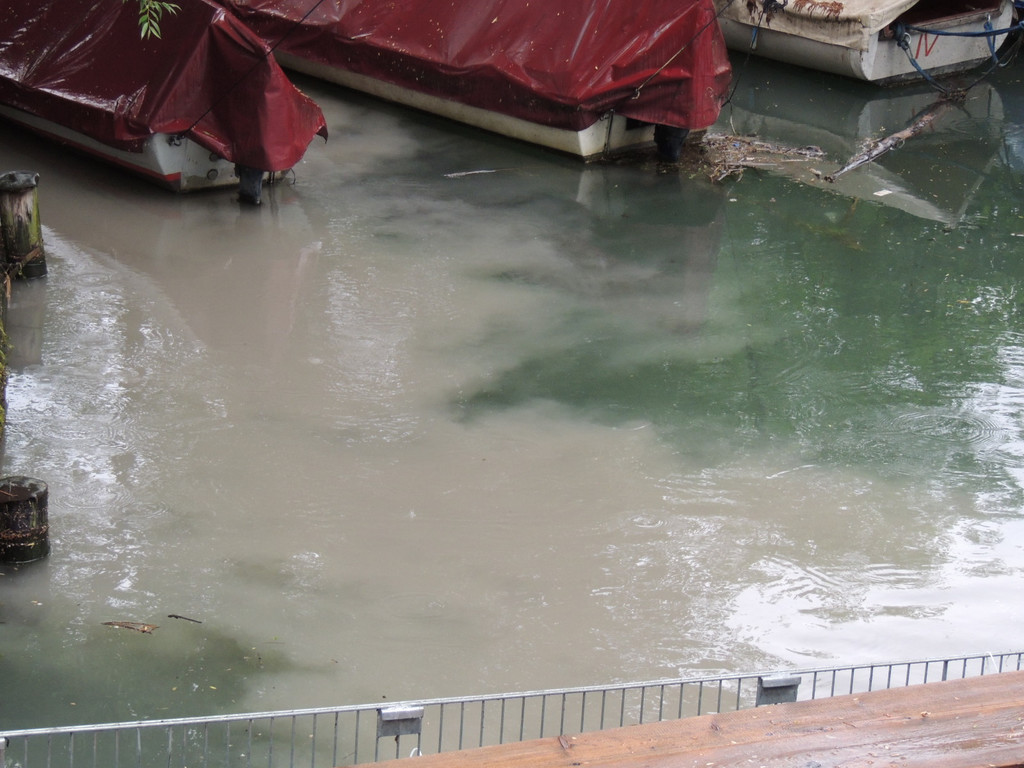 DSCN7174_JPG-1371079989