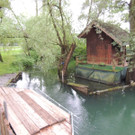 DSCN7158_JPG-1371079970