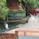 DSCN7179_JPG-1371079997