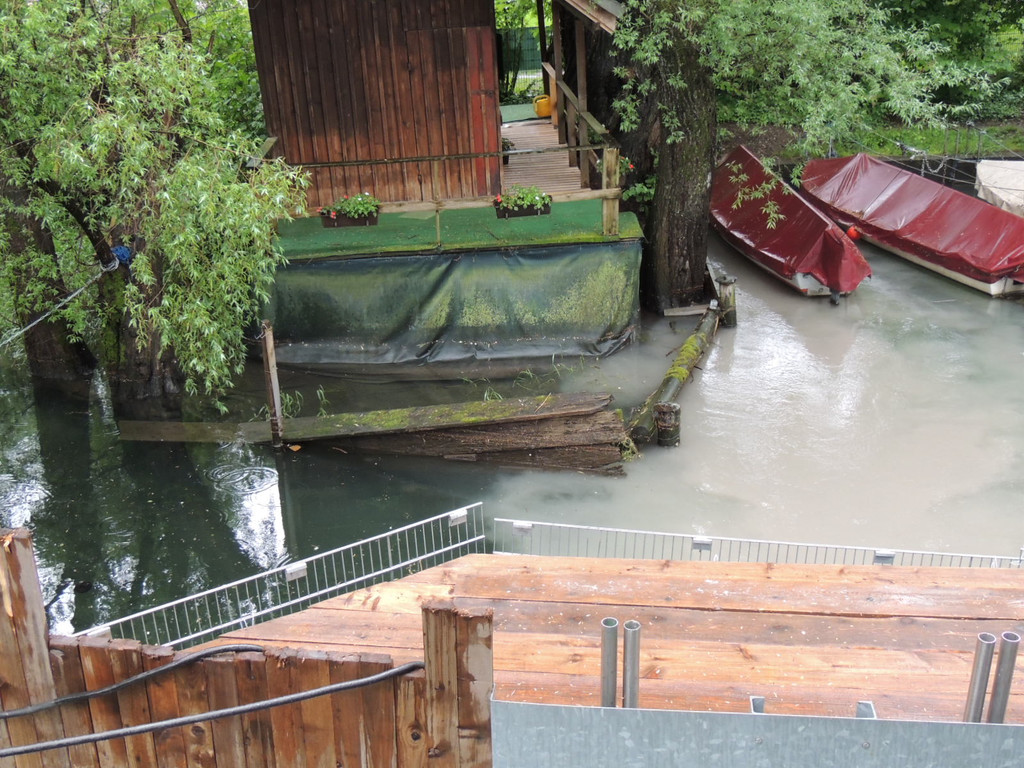 DSCN7179_JPG-1371079997