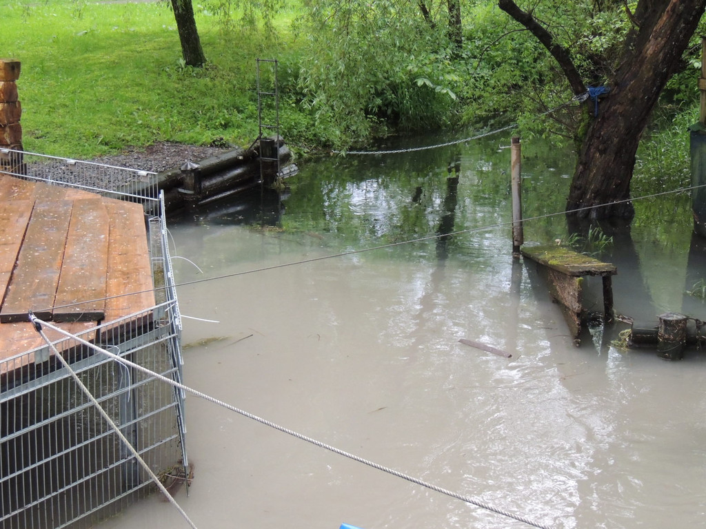 DSCN7182_JPG-1371080001