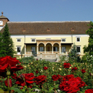 Sommernachtstraum in Baden bei Wien