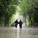 IBD0247-20130603.jpg
