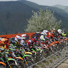 28042013staufferat05015aktivnews__2_.JPG