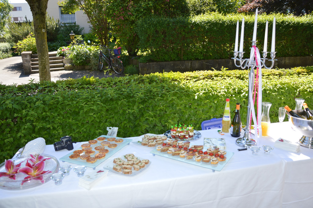 Hochzeit Sandra Ritter-Boris Zivaljevic 024_JPG-1371150431