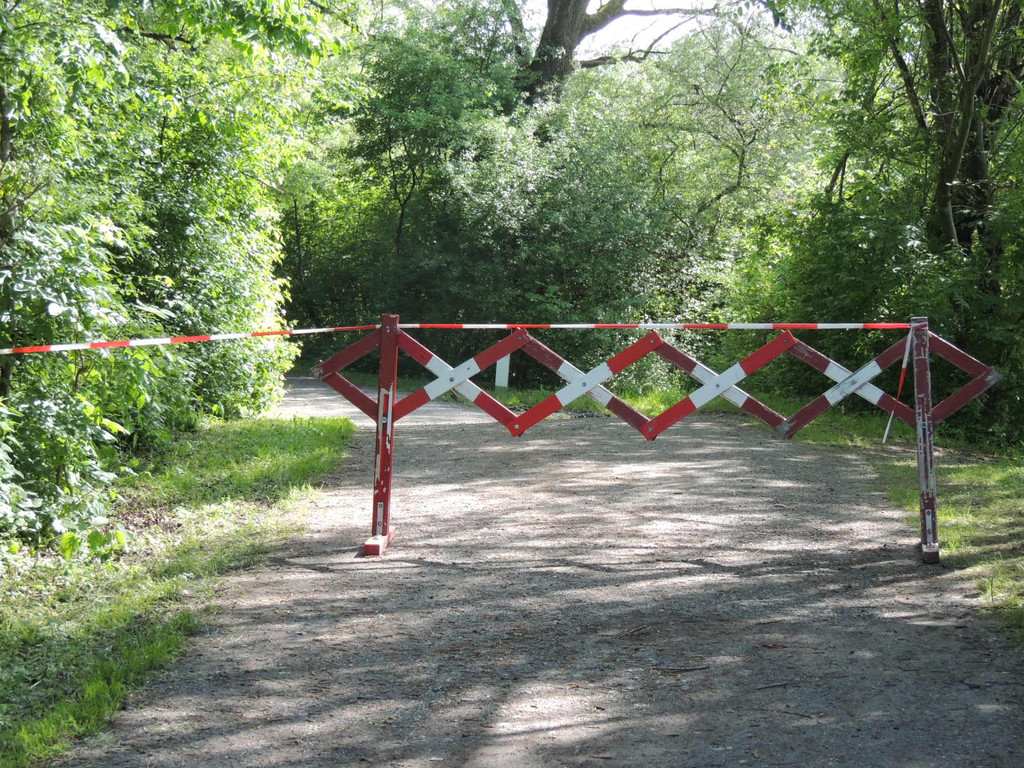 DSCN7278_JPG-1371163984