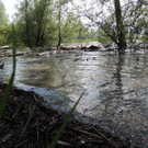 DSCN7286_JPG-1371164006