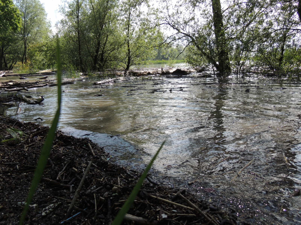 DSCN7286_JPG-1371164006