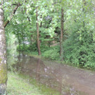 DSCN4665_JPG-1371163981