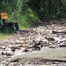 DSCN7285_JPG-1371164002