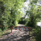 DSCN7279_JPG-1371163988