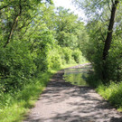 DSCN7281_JPG-1371163991