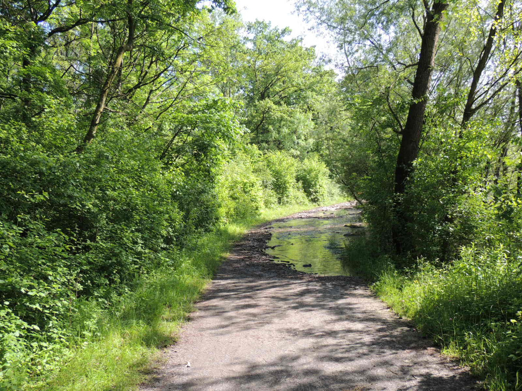 DSCN7281_JPG-1371163991