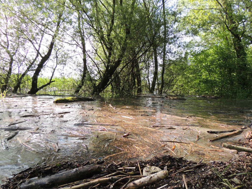 DSCN7287_JPG-1371164009