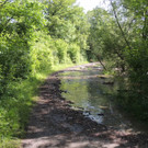 DSCN7282_JPG-1371163995