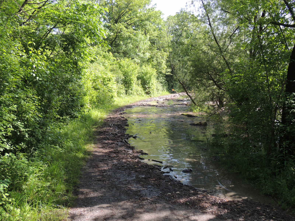 DSCN7282_JPG-1371163995