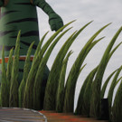 DSCN7675_JPG-1371164398