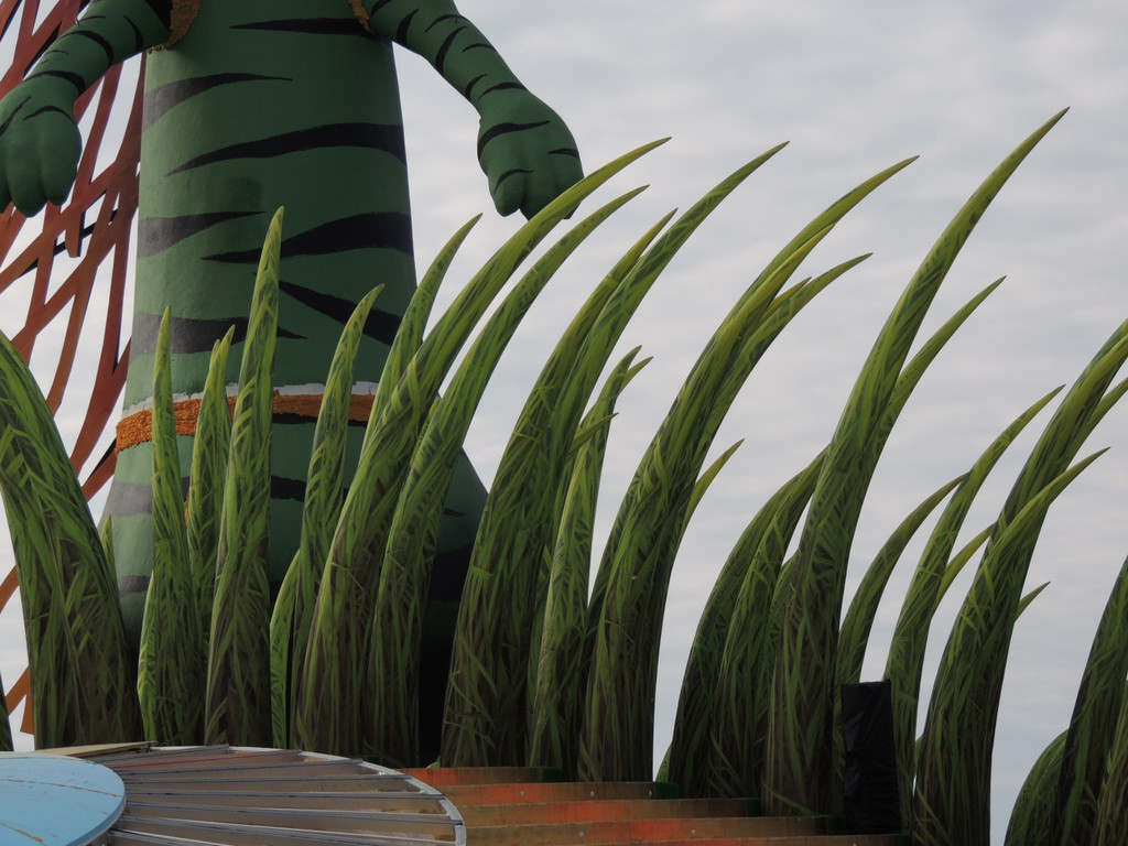 DSCN7675_JPG-1371164398