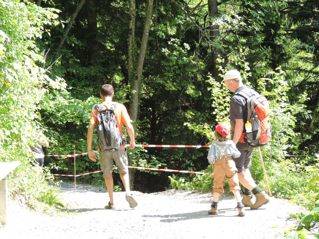 DSCN6662_JPG-1371165562