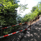 DSCN6646_JPG-1371165538