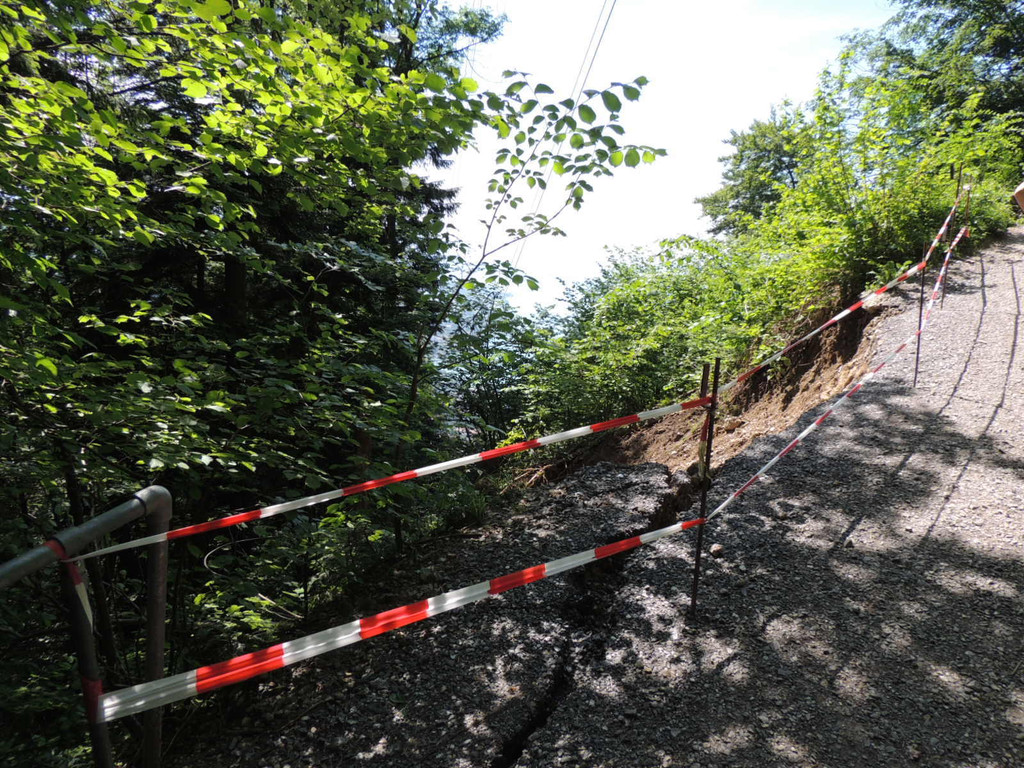 DSCN6646_JPG-1371165538