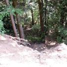 DSCN6658_JPG-1371165554