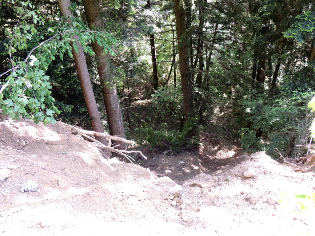 DSCN6658_JPG-1371165554