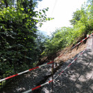 DSCN6647_JPG-1371165541