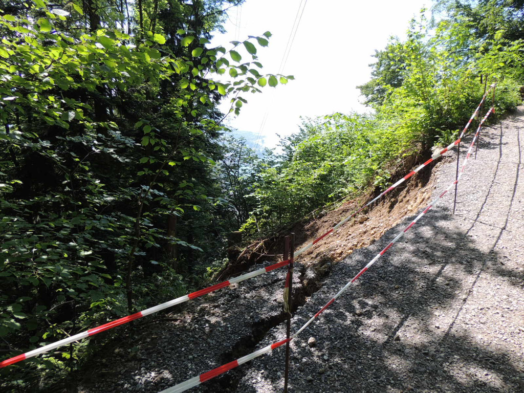 DSCN6647_JPG-1371165541