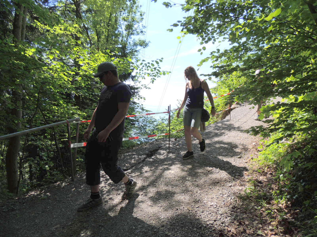 DSCN6645_JPG-1371165535