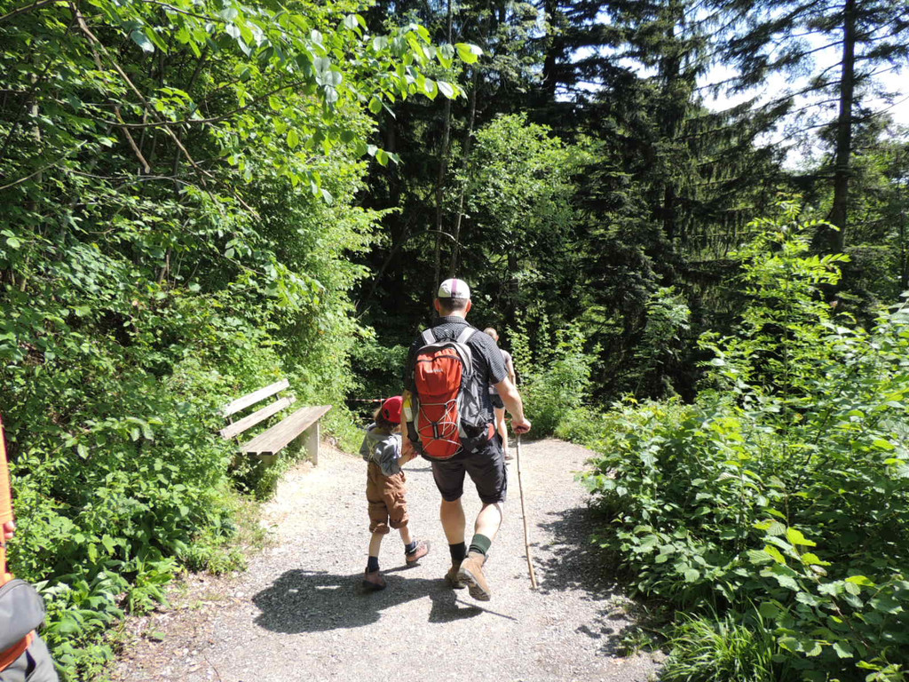 DSCN6661_JPG-1371165558