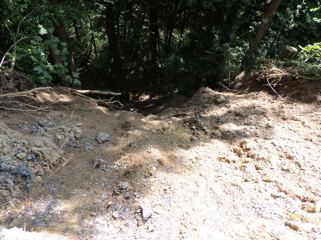 DSCN6648_JPG-1371165544