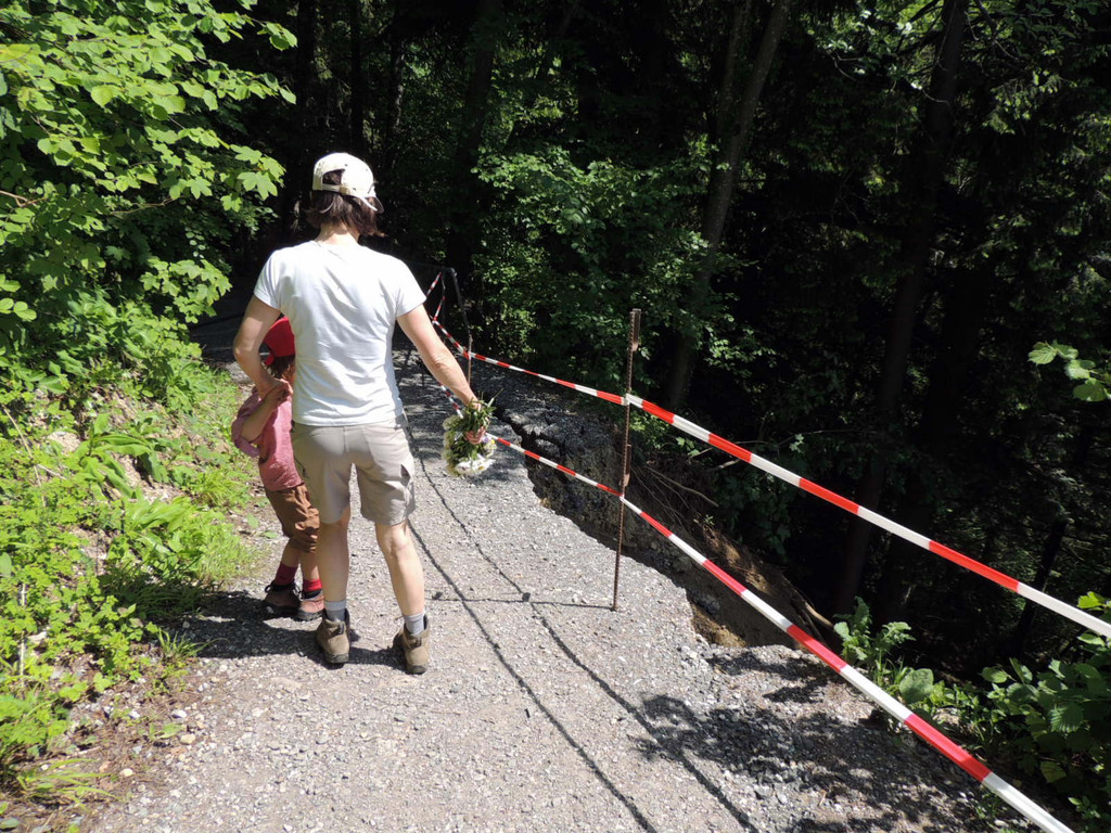 DSCN6656_JPG-1371165551