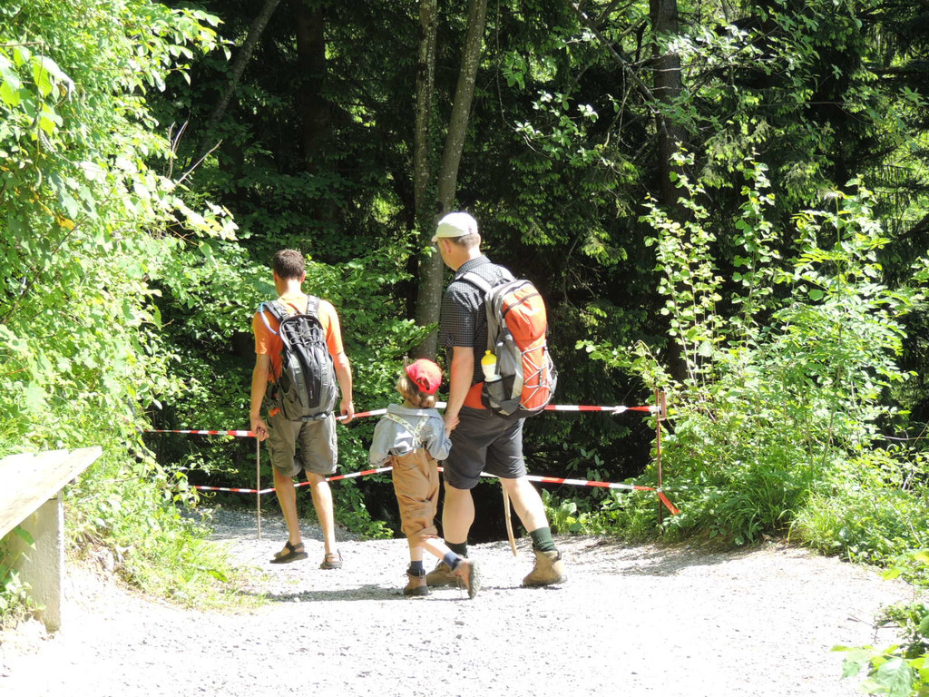 DSCN6663_JPG-1371165566