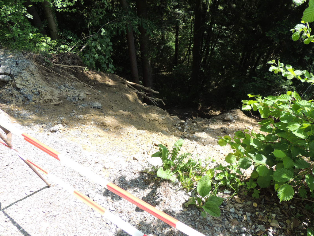 DSCN6652_JPG-1371165548