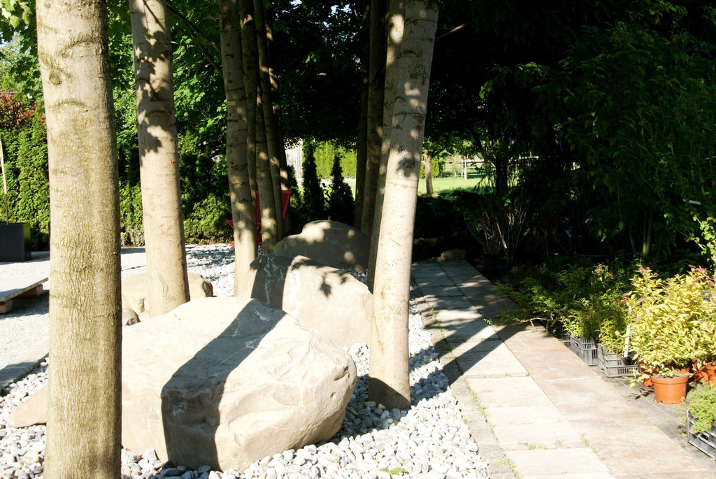 04.JPG