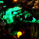 DSC08376.JPG
