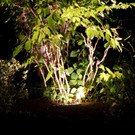DSC08377.JPG