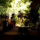 DSC08382.JPG
